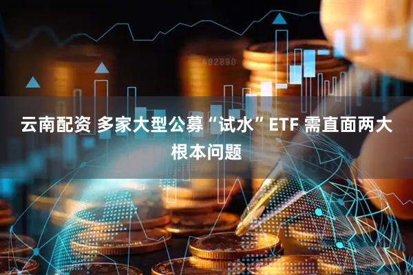 云南配资 多家大型公募“试水”ETF 需直面两大根本问题